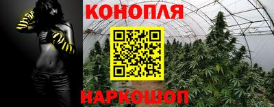 гашик Нарткала