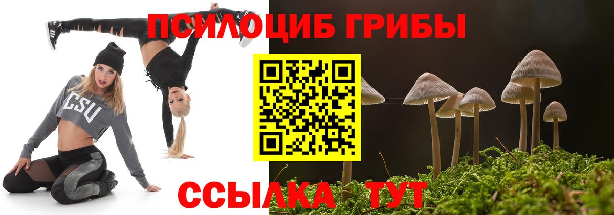 магазин продажи   Галлюциногенные грибы прущие грибы  Вход с VPN  Салехард  Галлюциногенные грибы мицелий 