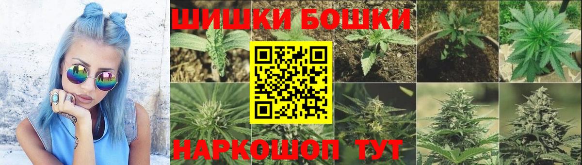 Канабис сатива Салехард
